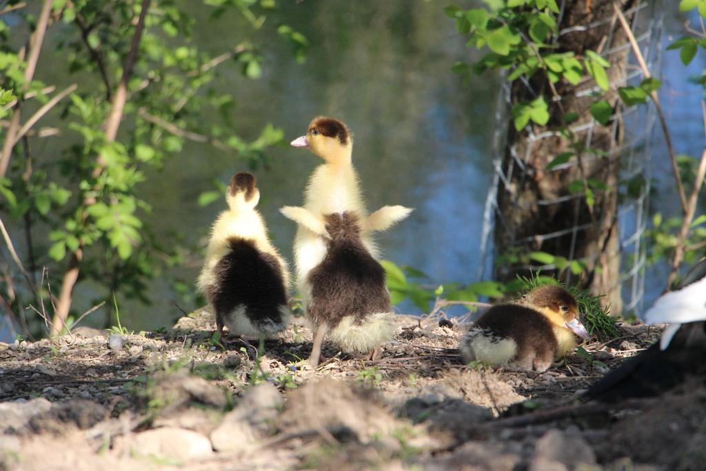 Appartamento Doellelhof Erding Esterno foto