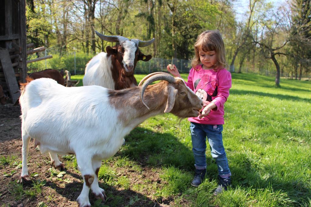 Appartamento Doellelhof Erding Esterno foto