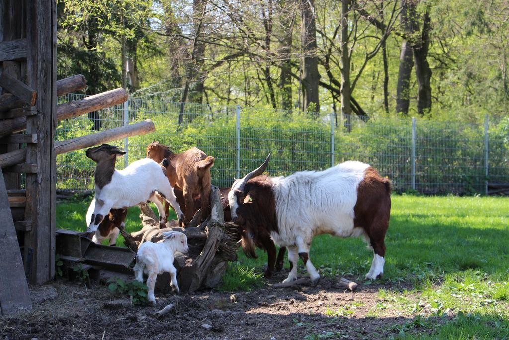 Appartamento Doellelhof Erding Esterno foto