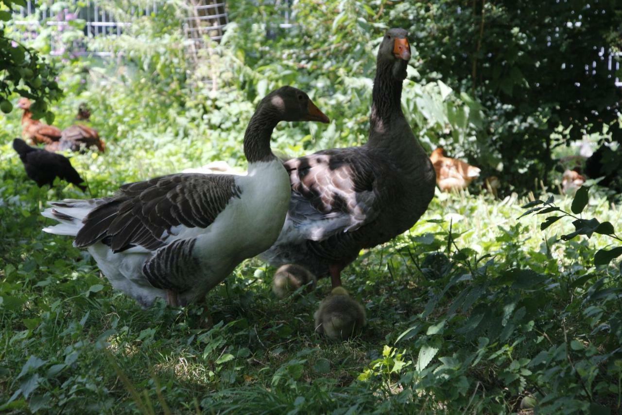 Appartamento Doellelhof Erding Esterno foto